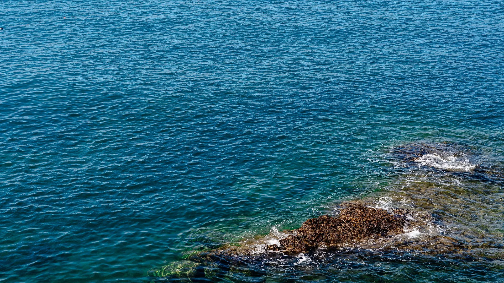 Excelsior Palace Portofino Coast Rapallo 5*,